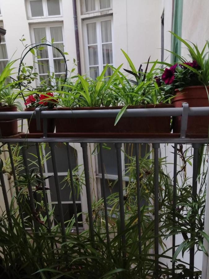 Florence Pitti Loft Exteriér fotografie